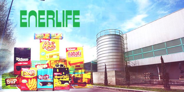 Enerlife